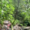 Urwaldschaukel - balançoire dans la forêt tropicale